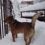 smarrito_roccapriora3_copy