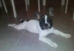 smarrito_tivoli