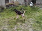 smarrito_vicovaro1