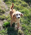 socrate20200315-WA0010-1