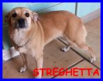 streghetta