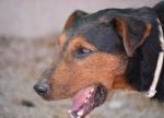 terry_rifugio-di-lanuvio_2