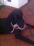 testimonianza_Audrey1