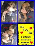 tictoctac1