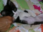 tom_e_Alessandra_2