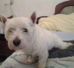 tonino_3