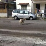 trovato_fondi1_copy
