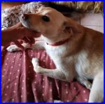 trudy6