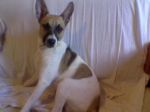 willie_0141223-WA0007