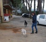 zara_cometa_verso_casa_3