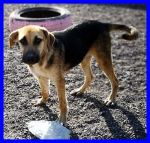 ARGO_3