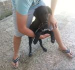 BRETON_2