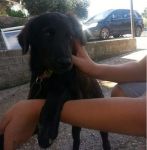 BRETON_3