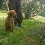 MARIANNA_2