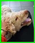MEXES_2