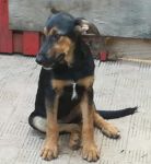 PINA-PIERO_3