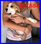 raissa