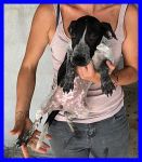 tatiana4