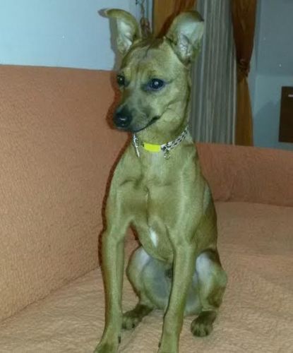 trovato_sanbasilio