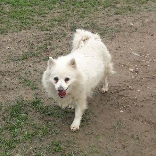 wilma