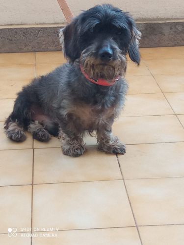 1672492997_toby