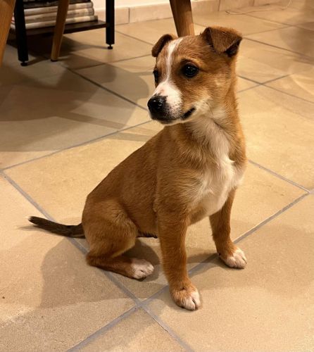 Lucky_208306441878_n