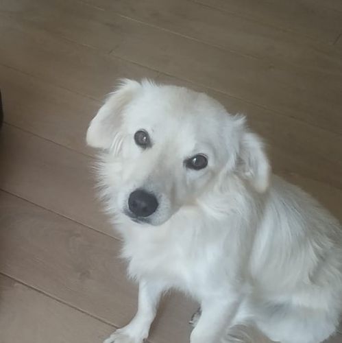 WILLY1_2