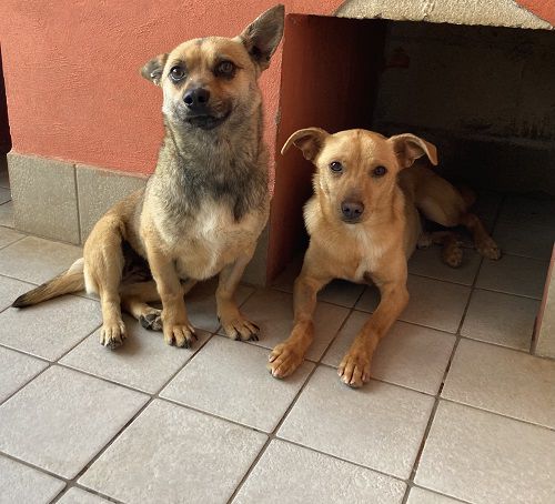 tartina_e_rio-8431