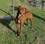 ARMANDO_1