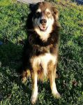 Rocky_2