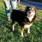 Rocky_3