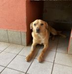 rio_8421_copy