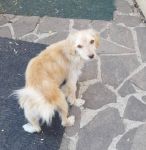 umbertino_9022377684398763247_n