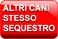ALTRI CANI PROVENIENTI DA SEQUESTRO