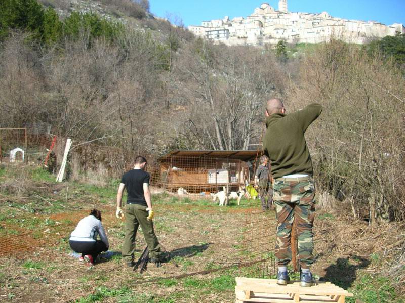 lavoro2