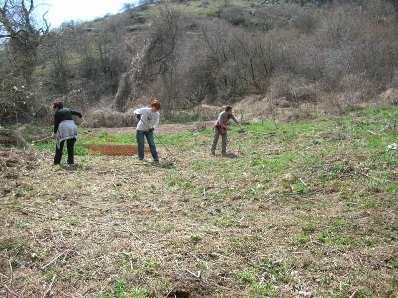 lavoro5