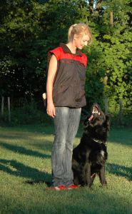 Educazione per cani e padroni