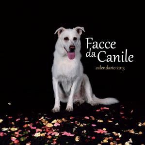 Calendario Facce da Canile 2013