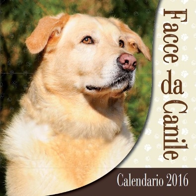 Calendario Facce da Canile 2016