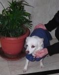 dscn6198
