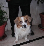 dscn6214