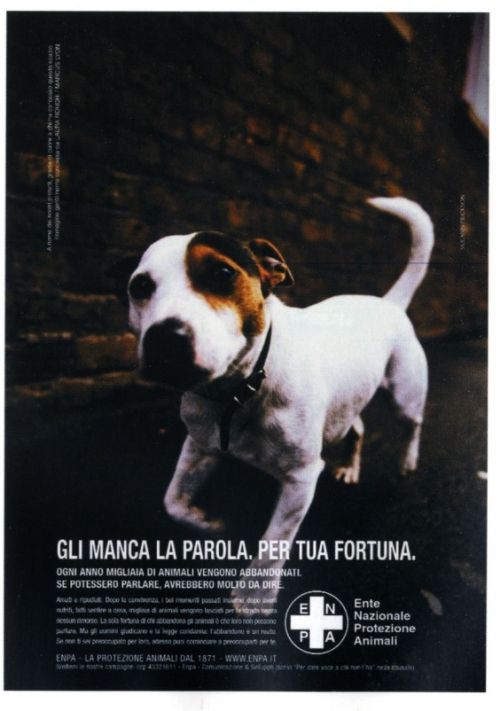 Gli manca la parola. Per tua fortuna.