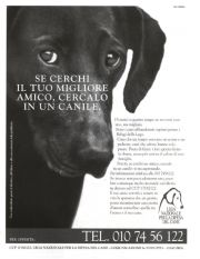 Se cerchi il tuo migliore amico cercalo in un canile. Se cerchi il tuo migliore amico cercalo in un canile.