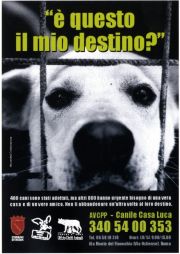 E' questo il mio destino? E' questo il mio destino?