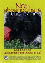 Non abbandonare il tuo cane. Non abbandonare il tuo cane.