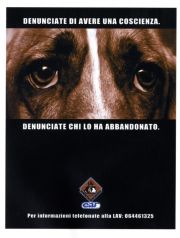Denunciate di avere una coscienza. Denunciate di avere una coscienza.