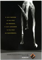 Il suo padrone lo ha reso un randagio... Il suo padrone lo ha reso un randagio...